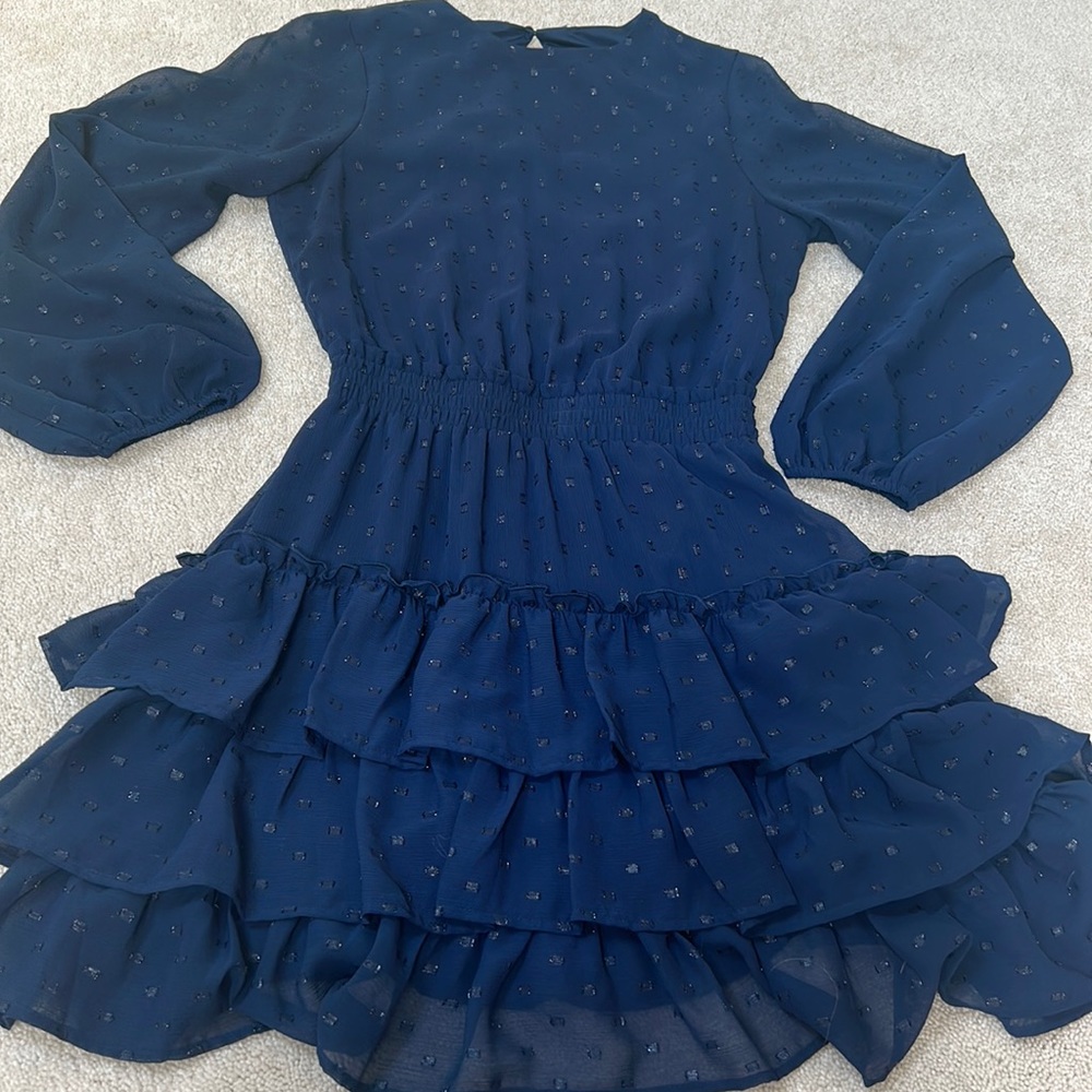 Blue Express Dress